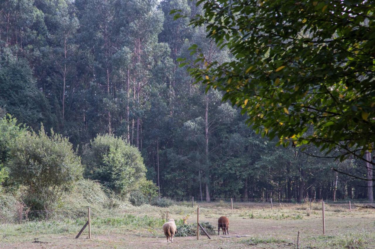 Associacao Quinta Das Relvas Branca ภายนอก รูปภาพ